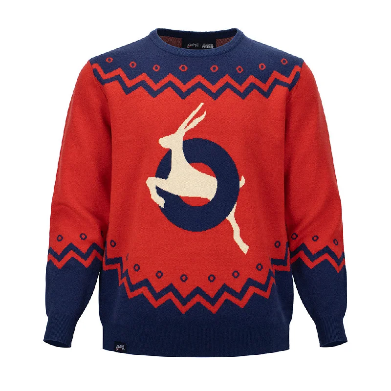 men's cotton sweater-Phish | Holiday Sweater | Antelope Donut Red