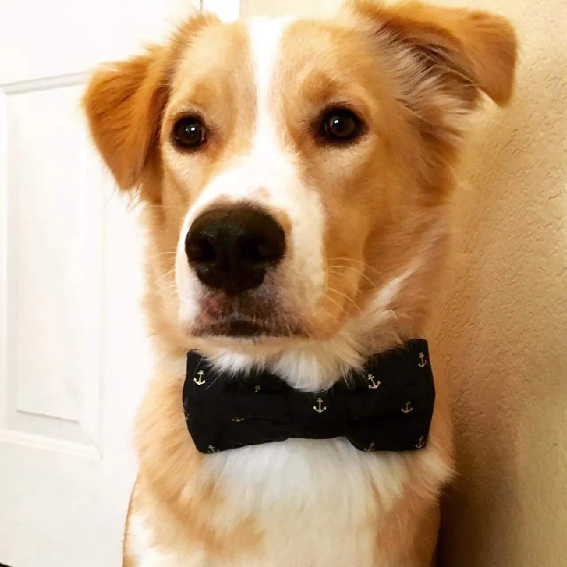 relaxed short sleeve shirt for work -Dog Bow Tie